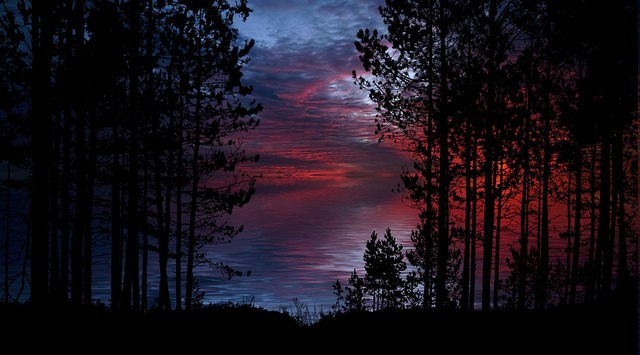 nature-4567502_960_720
