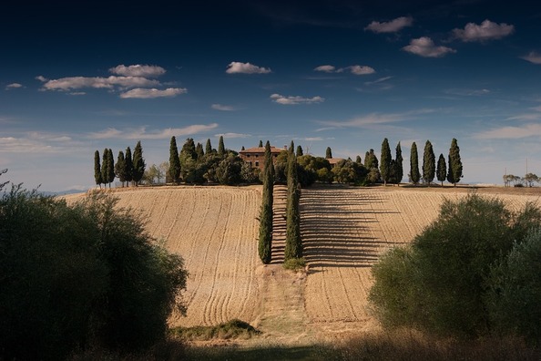 fields-336465_960_720
