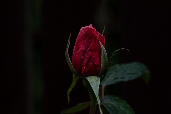dark-2599142_960_720