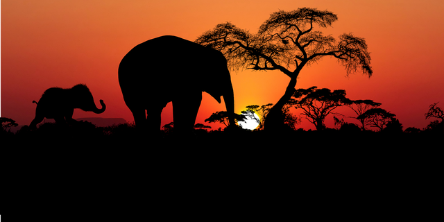 sunset-4380633_1280