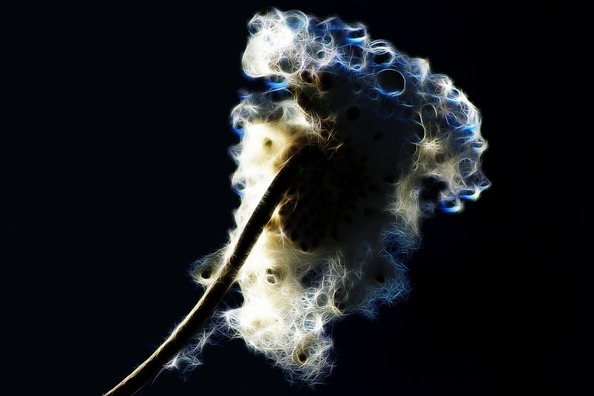 fractalius-3247625_960_720