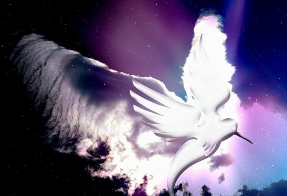 dove-2204208_960_720