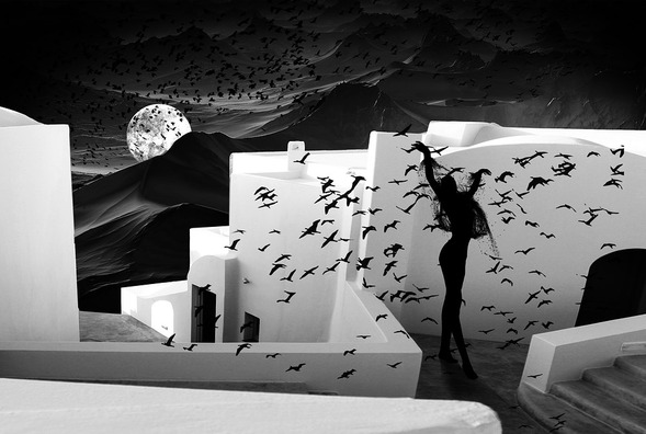 birds-3473839_960_720