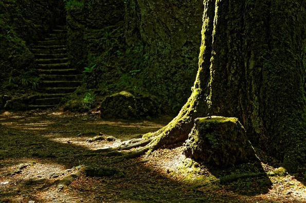 abandoned-3795110_960_720