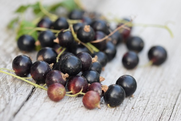 black-berries-4042234_960_720