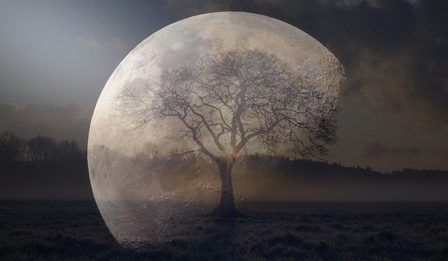 moon-2261261_960_720