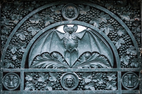 bat-523125_960_720
