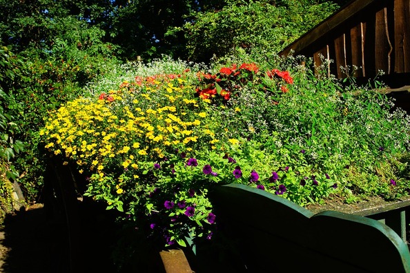 old-wooden-coach-1620288_960_720