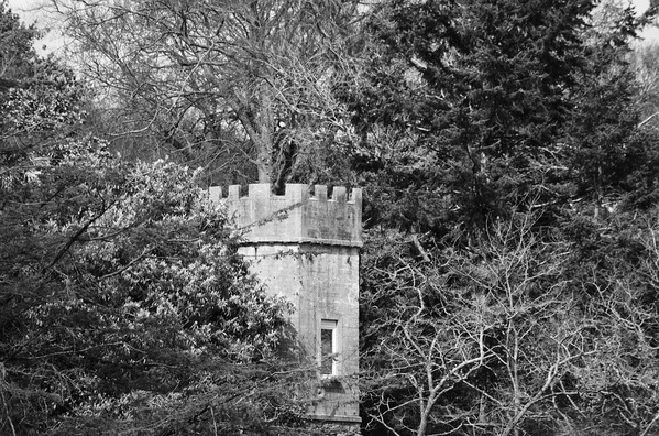 tower-2347881_960_720