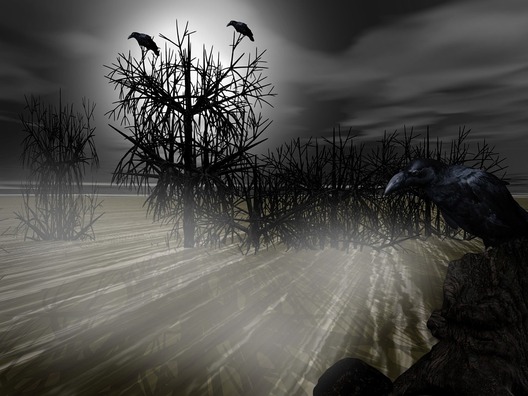 tree-1807768_960_720