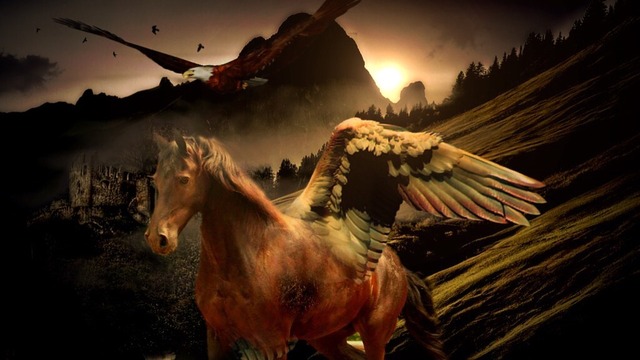 pegasus-690480_960_720
