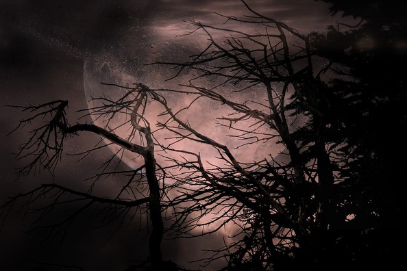 collage-1968114_960_720