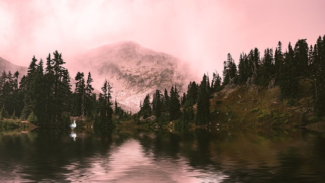 landscape-4465139_960_720