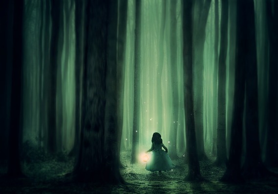 forest-3833973_960_720