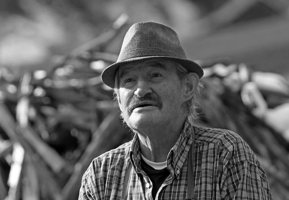 farmer-540681_960_720