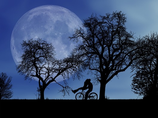 landscape-4494978_960_720