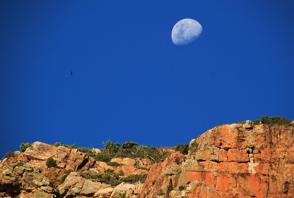 moon-254794_960_720
