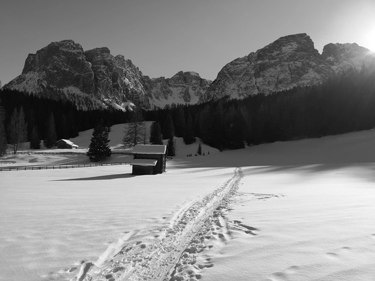 lungiaru-3998169_960_720