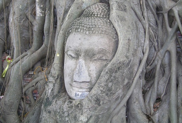 buddha-1386988_960_720
