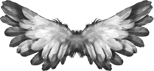 angel-1184180_960_720