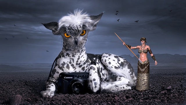 fantasy-2633348_960_720