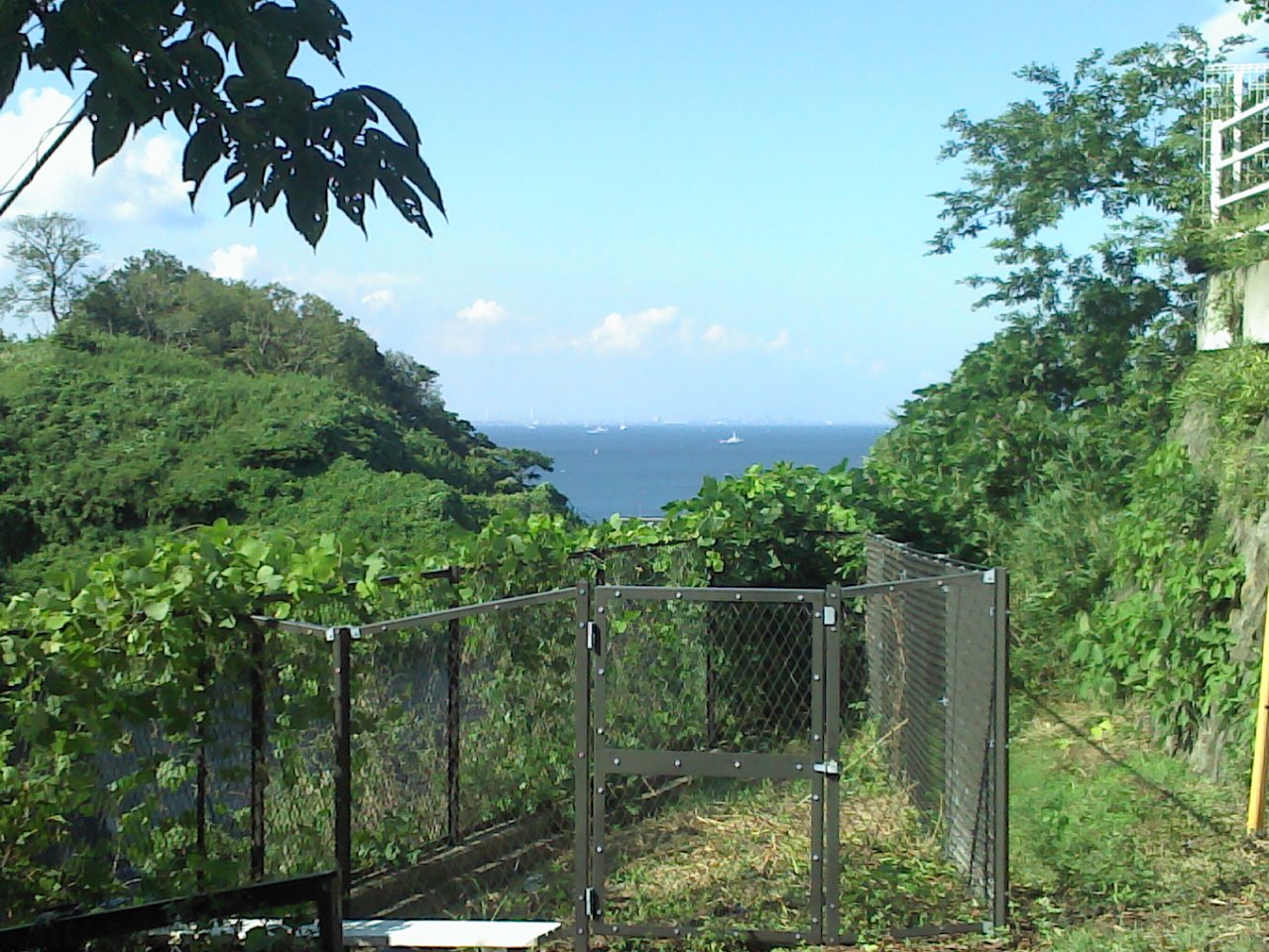 夏懐古 今年も暑い夏とポエムがやってくるwwwwwww まとめぇーーー2ちゃん