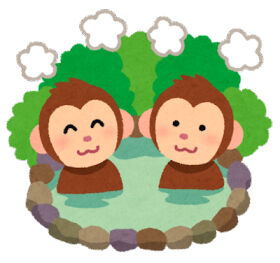 Honeyview_onsen_saru