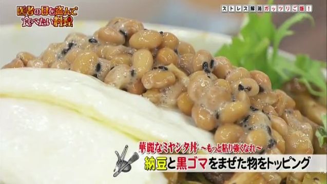 汚料理研究家 園山真希絵 先生がtvで披露した焼肉カレー納豆丼を実際に作ってみたｗｗｗｗ ブリ速z