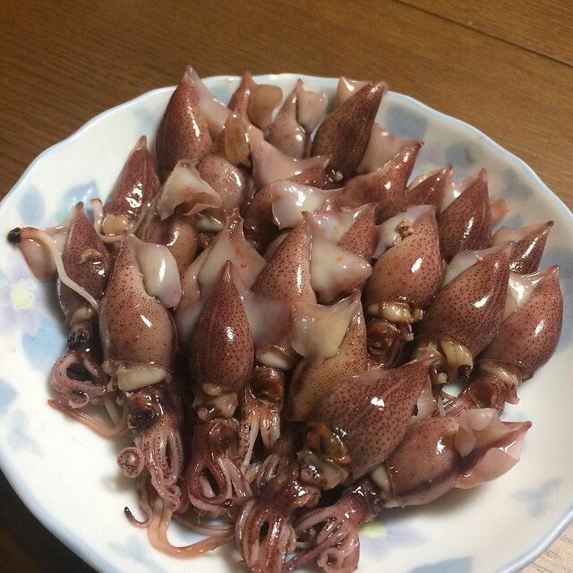 悲報 美味しいのに ホタルイカ嘆きの豊漁 異例の漁獲量削減 冷蔵施設埋め尽くす まとめくいーん