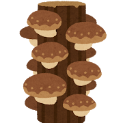 food_shiitake_genboku