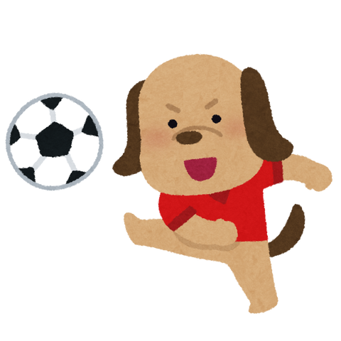 soccer_animal_inu
