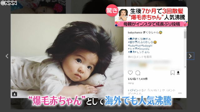 話題 snsで人気 爆毛赤ちゃん 会いに行く 博士ニートまとめ 話題 snsで人気 爆毛赤ちゃん 会いに行く 博士ニートまとめ