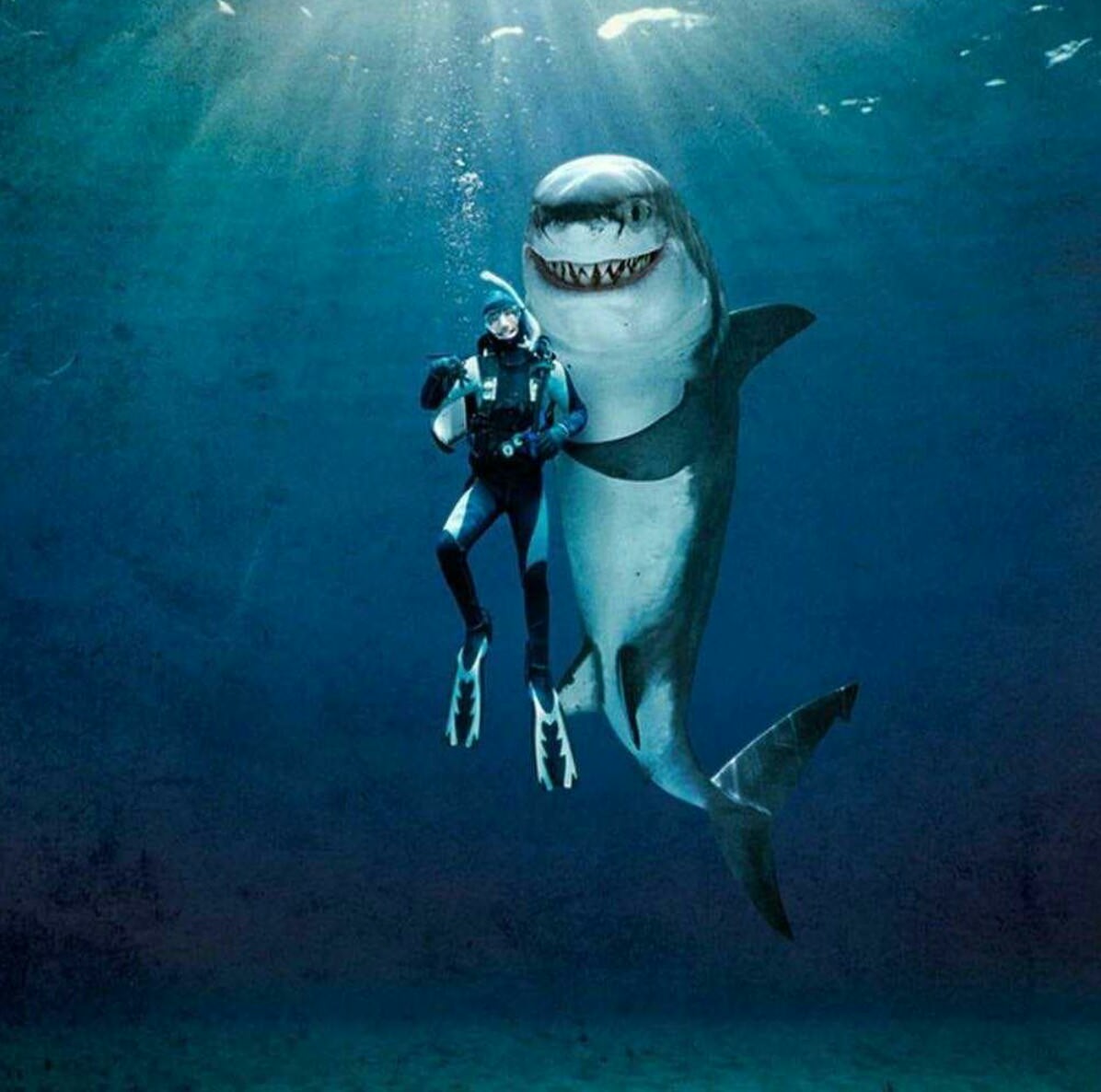 エジプト サメに襲われ観光客死亡 遺体の一部が見つかる 紅海沿岸 博士ニートまとめ