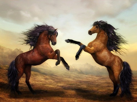 horses-g734fad91f_640