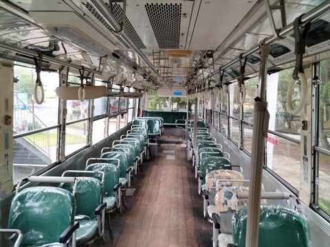 24800733_s