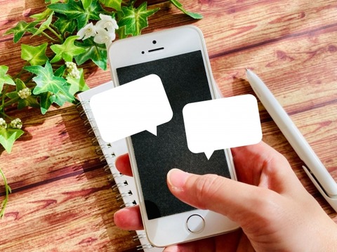31335343_s
