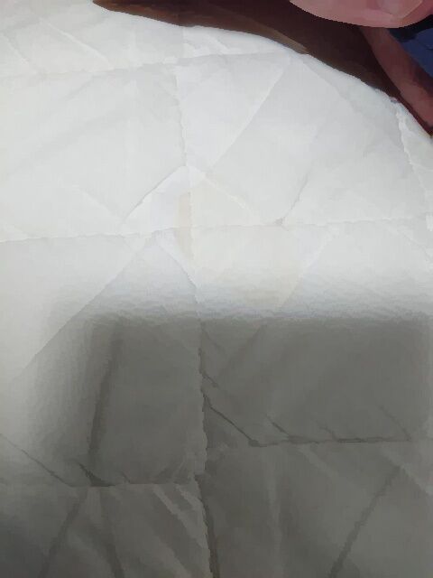 セ クス中彼女が下痢便漏らして100年の恋が冷めた Av女優ツイート エロ画像まとめ