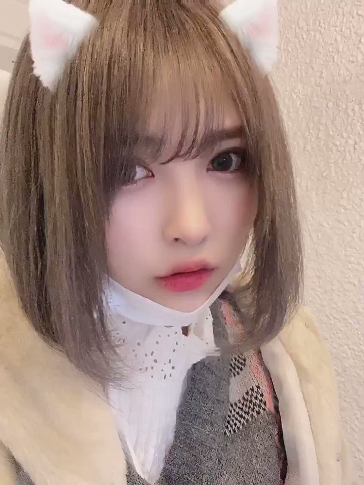 1枚 るーるる にゃ えりゅしおんアイドル速報