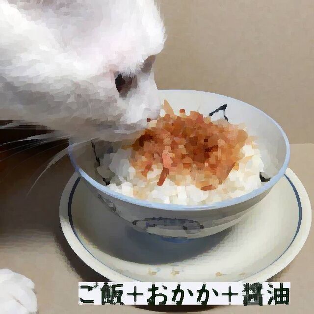 昭和の人間 なんや犬 腹減ったのか ほれ コロッケや 味噌汁ご飯や きゅれーしょん速報