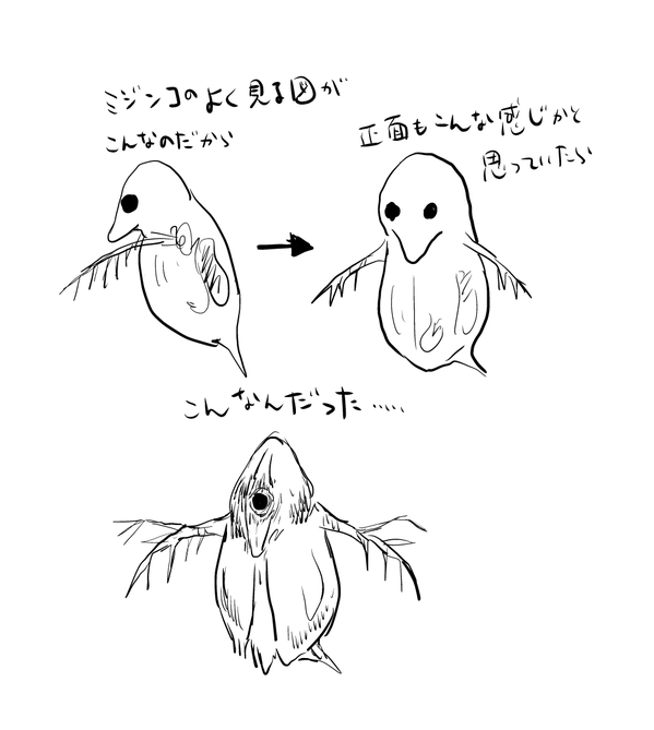 生物 知ってた ミジンコを正面からみた姿が怖いと話題に 画像あり いいね 速報