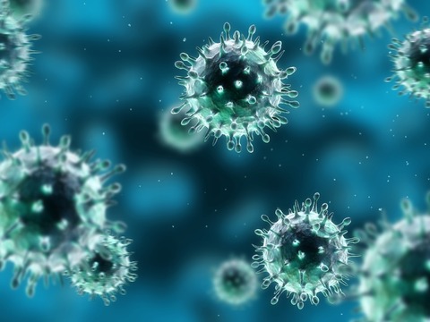 rotavirus