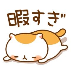 kYXFpXb7BqijTdT