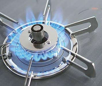 lpgas_1_1308281766