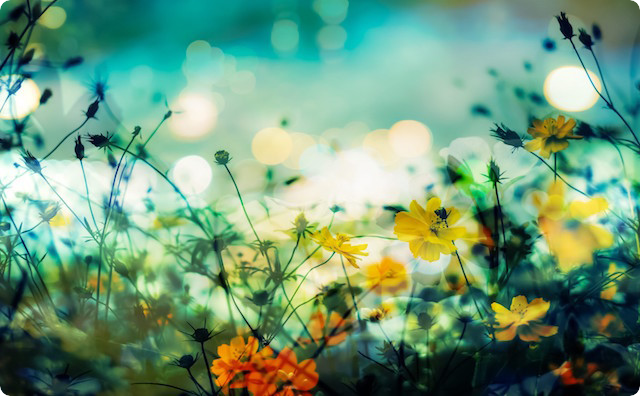 花