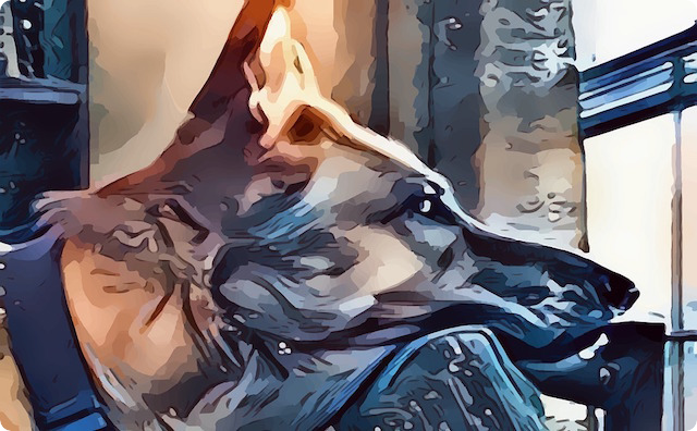 警察犬