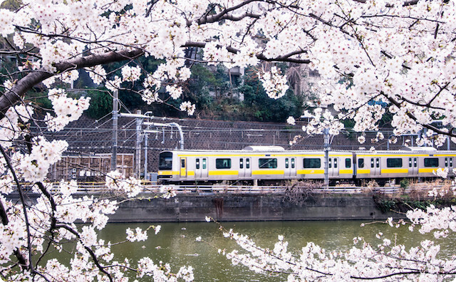 春の電車