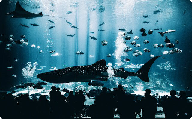 水族館