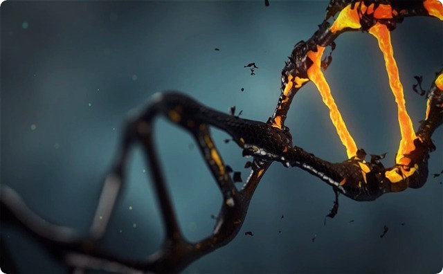 ＤＮＡ