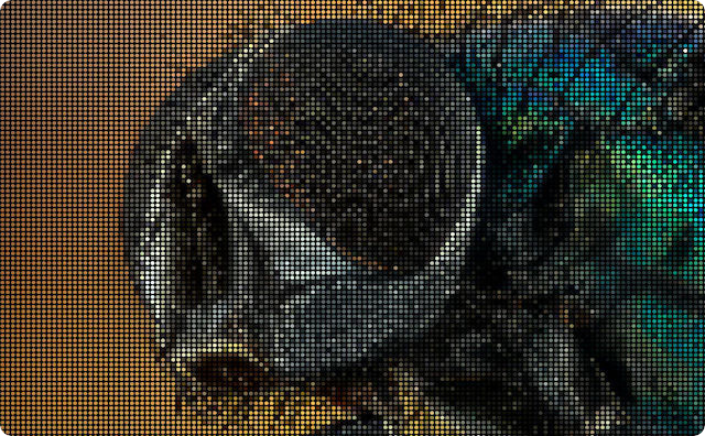 CspU2C62FhX9Tkx1513110514_1513110517