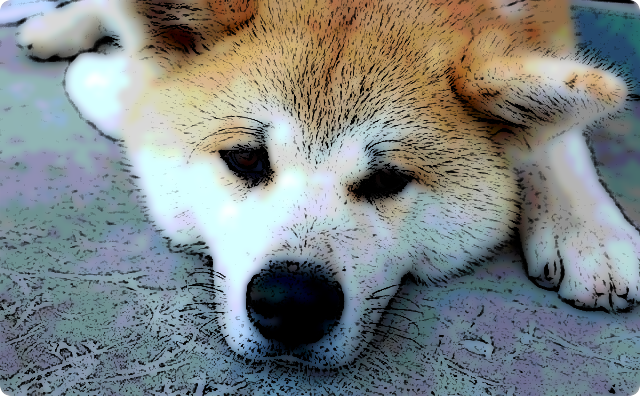 犬
